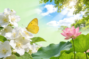 kotlin 图标长按弹出快捷菜单及跳转